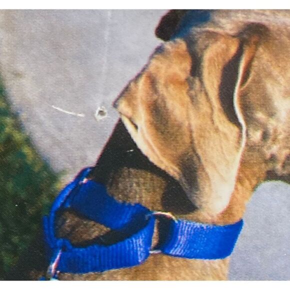 Dog Collar Adjustable THE GRRRIP Limited Choke Collar Nylon 18”-30” Green - Picture 5 of 5